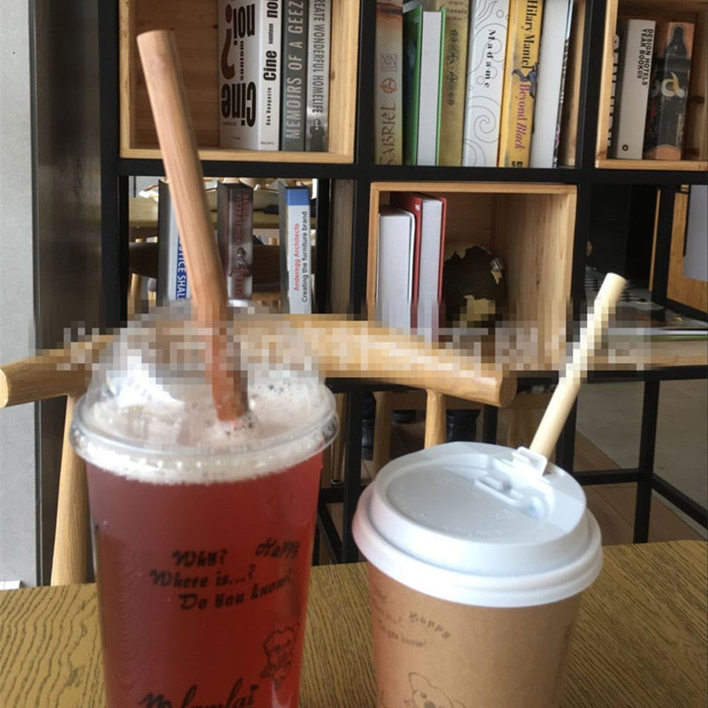 100pcs Eco Friendly Bamboo Reusable Straws