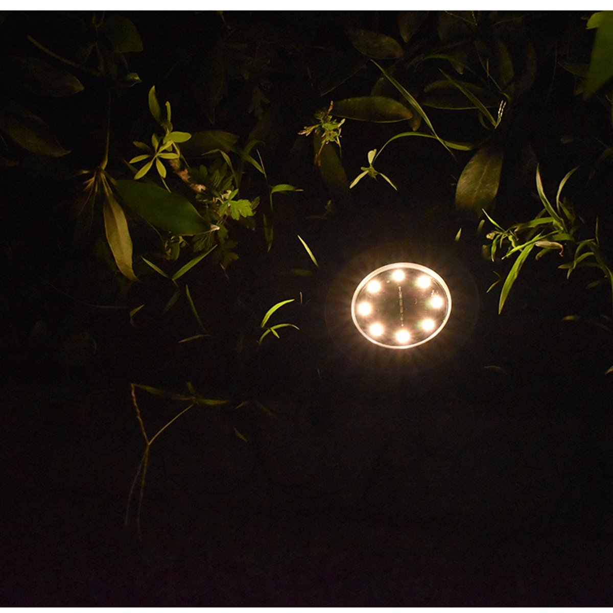 LED Solar Powered Light Outdoor